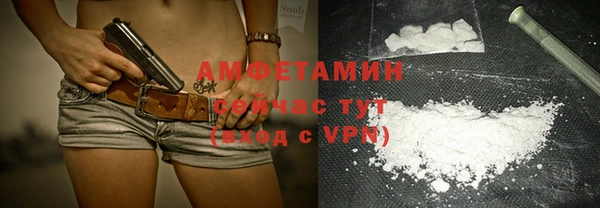 шишки Богородск
