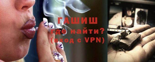 стаф Богданович