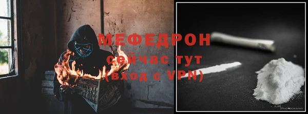 стаф Богданович