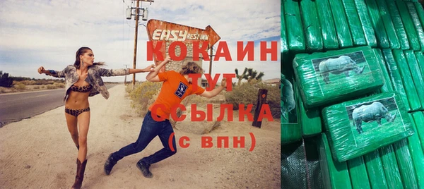 шишки Богородск