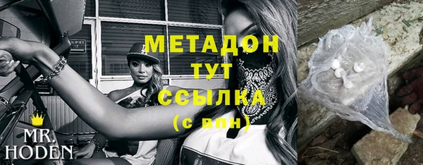 сатива Каменка