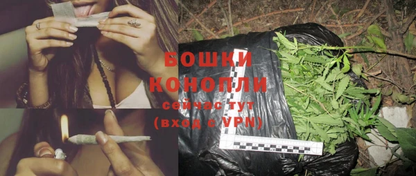 стаф Богданович