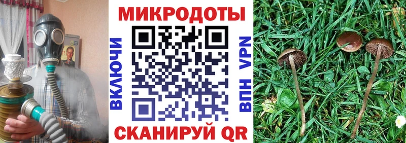 где купить   Свободный  Псилоцибиновые грибы GOLDEN TEACHER 